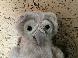 Character owl