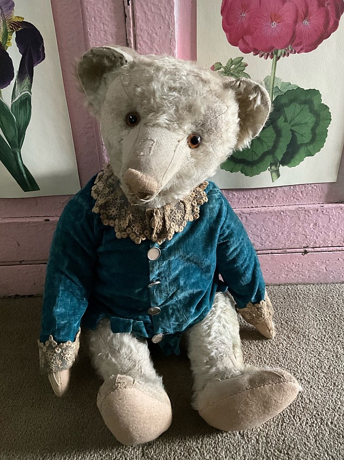 24” white Bing bear in very early peacock blue velvet jacket with exquisite early lace and historical buttons. This old boy has a profile that is unmatched. He has repairs to his snout and expertly recovered pads. A now silent growler can be heard in his tummy. He retains his original glass eyes and is just a truly handsome boy. $ 2799 postage paid