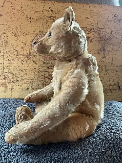 steiff