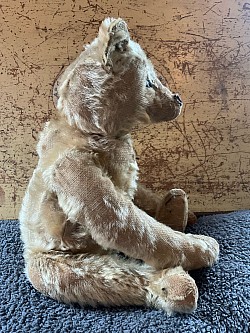steiff