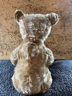 steiff