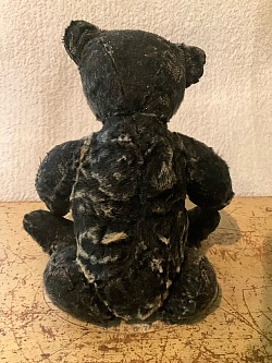 bear