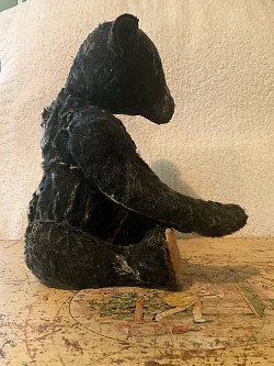 bear