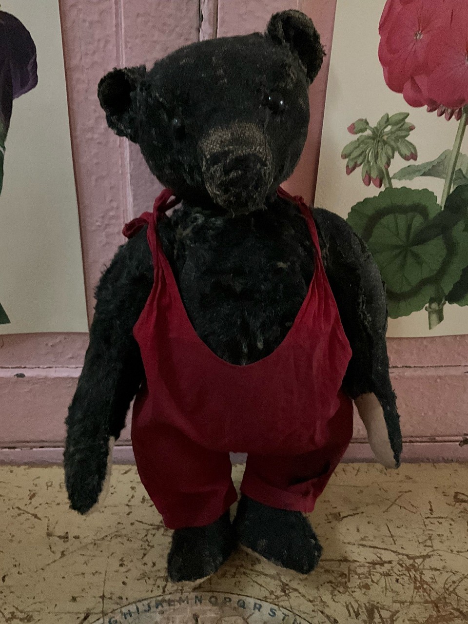 steiff