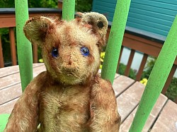 9” Steiff Petsy with ff button
