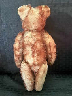 bear