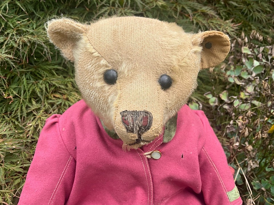 Darling 17” Steiff bear with ff button. Clunky double growler and expertly replaced leather pads. I see no repairs at all, even front and back seam are original. His arms are extremely long and feet are enormous. His red felt peeks through beneath his original nose floss. A big beautiful bruin indeed! $ 1095