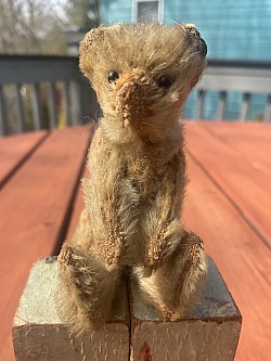 3.5” Steiff bear with button