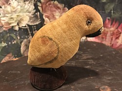 Early theorem parrot